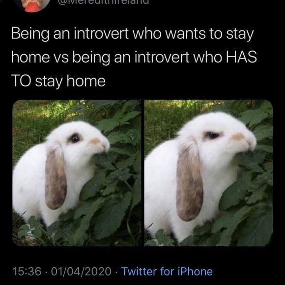 Meet your Posher, Liz - Picture 5 of 8